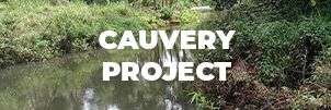 cauvery