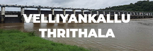 Velliyankallu